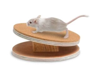 Karlie Flamingo Bogie Disc Laufscheibe mit Korkbeschichtung - 16 cm