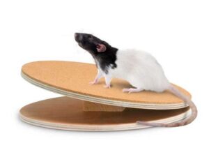 Karlie Flamingo Bogie Disc Laufscheibe mit Korkbeschichtung - 30 cm