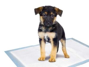 Karlie Flamingo Puppy Pads Trainingsmatten - 60 x 40 cm / 10 Stk