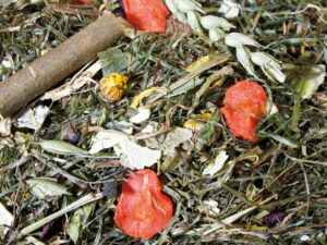 JR Grainless Herbs Z-kanin 5kg