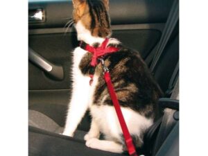 Trixie Sicherheitsgurt für Katzen