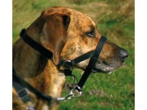 Trixie Top Trainer Ausbildungsgeschirr - max. 31 cm