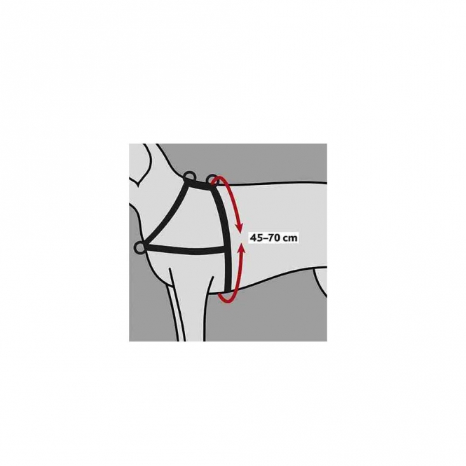 Trixie Trainingsgeschirr Lead'n'Walk Soft - S-M – Bild 3