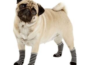 Karlie Doggy Socks Hundesocken 4er Set - Schwarz/Grau - L