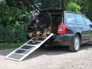 Easy-Hopper Hunderampe Extra Breit Komfort Natur mit Rasenbelag