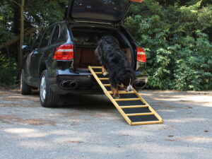 Easy-Hopper Hunderampe Extra Breit Komfort imprägniert mit Feinriefengummimatte