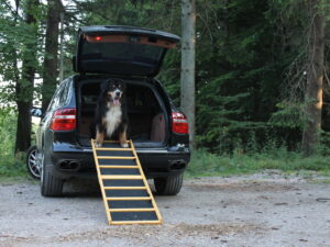 Easy-Hopper Hunderampe Extra Breit Komfort imprägniert mit Feinriefengummimatte