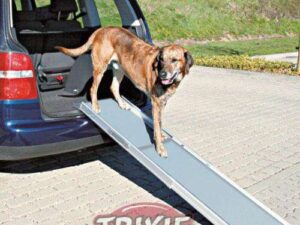 Trixie PetWalk Teleskop-Rampe