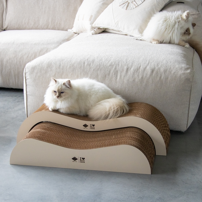 D&D Kratzwelle Archie zweiteilig - braun/beige – Bild 3