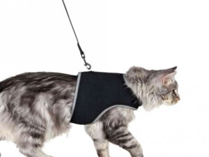 Trixie Softgeschirr mit Leine XL - schwarz