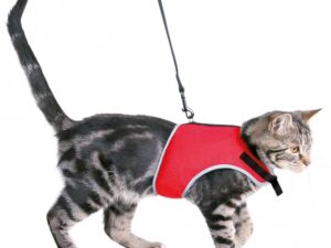 Trixie Katzen-Softgeschirr mit Leine