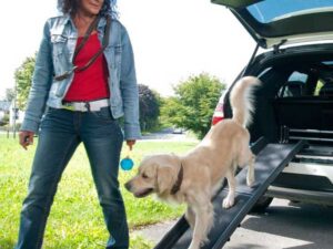 Karlie Flamingo Autohunderampe Gentle Step