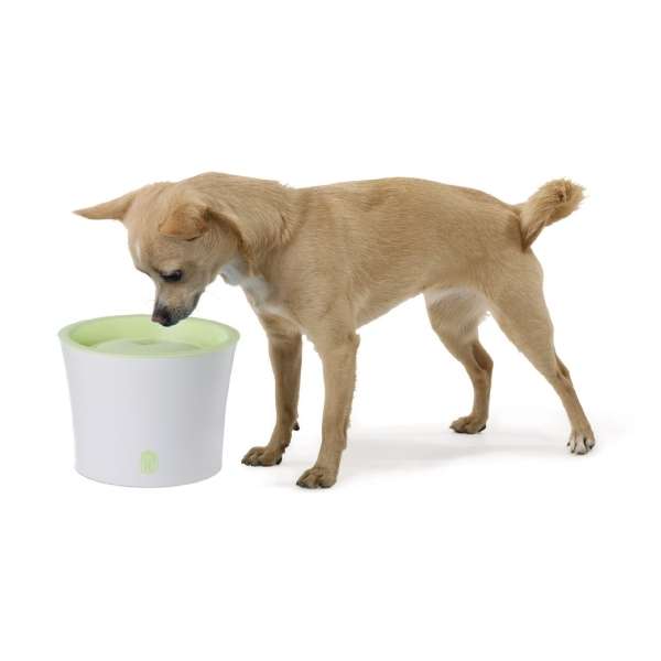 CATIT Fresh+Clear Trinkbrunnen 3L - Lindgrün – Bild 4