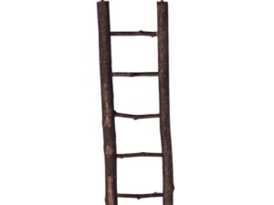 Trixie Naturholz-Leiter - 26 cm