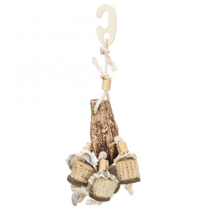 Trixie Naturspielzeug mit Mahagonischote – Bild 3