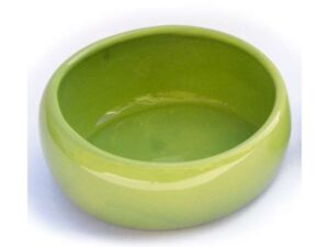 LIVING WORLD Ergonomischer Nagernapf groß grün