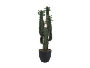 EUROPALMS Mexikanischer Kaktus mit Blättern, 75cm