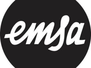 EMSA Kühlkaraffe FLOW SLIM 1l Glas/Edelstahl