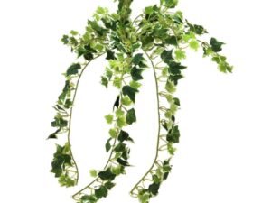 EUROPALMS Holland-Efeubusch, künstlich, 50cm