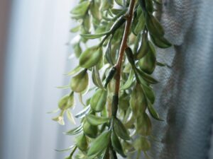 EUROPALMS Grasranke, künstlich, dunkelgrün, 105cm