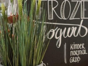 EUROPALMS Weizen Frühsommer, künstlich, 60cm