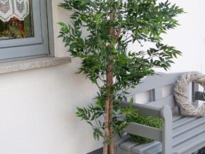 EUROPALMS Ficus Longifolia, Kunstpflanze, 165cm