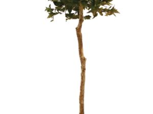 EUROPALMS Lorbeerkugelbaum, Kunstpflanze, 180cm