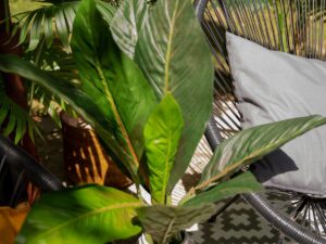 EUROPALMS Mangoldbusch, künstlich,  45cm