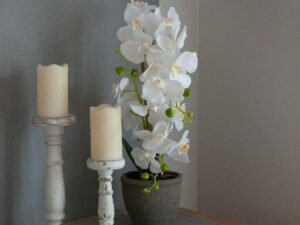 EUROPALMS Orchidee, Kunstpflanze, weiß, 80cm