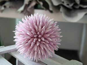 EUROPALMS Sukkulenten Kugel (EVA), Kunstpflanze, rosa, 16cm