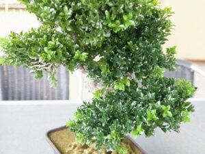 EUROPALMS Buchsbonsai, Kunstpflanze, 61 cm