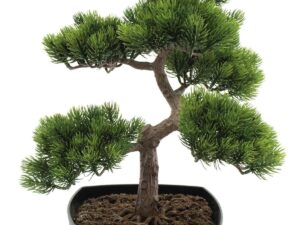 EUROPALMS Bonsai-Pinie, Kunstpflanze, 50cm