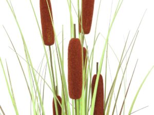 EUROPALMS Rohrkolben, Kunstpflanze, 120cm