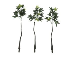 EUROPALMS Pachirabaum, Kunstpflanze, 160cm