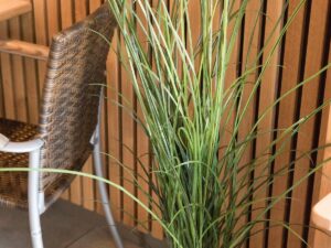 EUROPALMS Schilfgras, künstlich, 145cm