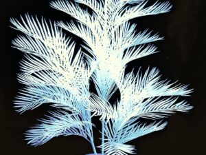 EUROPALMS Kentiapalme, künstlich,   uv-weiß, 170cm