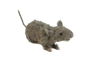 EUROPALMS Ratte, lebensecht mit Fell 30cm