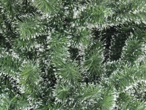 EUROPALMS Premium-Tanne, grün-weiß, 180cm