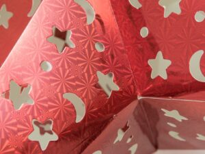 EUROPALMS Stern Laterne, Papier, rot, 75 cm