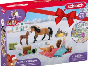 Adventskalender 2023 HC