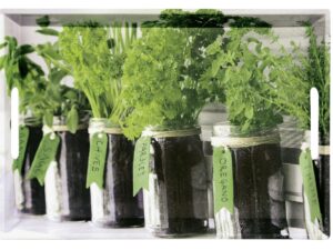 KESPER Serviertablett 'Herbs'