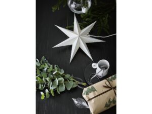 MARKSLÖJD Hängestern 'Lively'