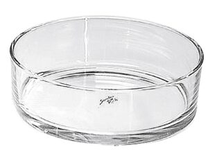 Sandra Rich Schale Glas 8cm Ø25cm klar