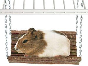 Karlie RODY SWING Nagerschaukel - M