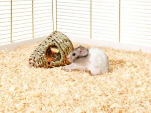 Karlie Flamingo Grasnest Iglu zum Hängen oder Legen