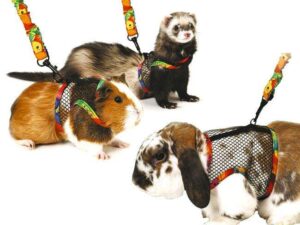 Karlie Comfort 2 in 1 Kleintier-Geschirr - L