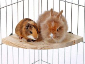 Karlie Holz-Sitzecke - Groß