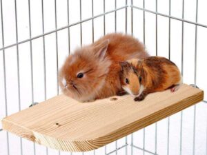 Karlie Holz-Sitzboard