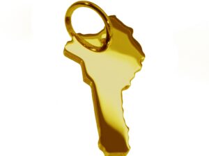 Anhänger der Landkarte Benin in massiv 585 Gelbgold