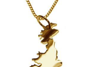 50cm Halskette + England Anhänger in 585 Gelbgold